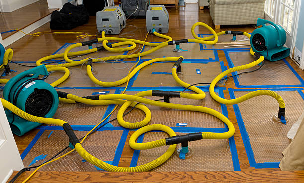 Professional Water Damage Repair technician working in Embarrass, WI